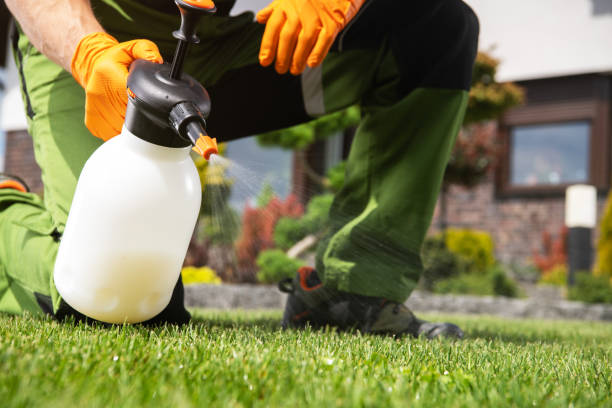 Pest Control Cost in Gatlinburg, TN